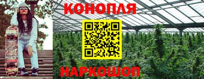 каннабис Будённовск